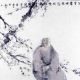 张子容