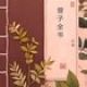汪晫
